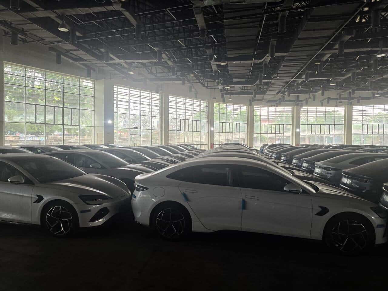 BYD Seal vehicles inside the warehouse. Actual supplier photo; source: Proven Performer.